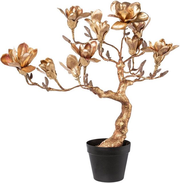 Kunstpflanze »Magnolienbaum«, Creativ deco, Höhe 71 cm, mit Kunststoffübertopf-Kunstpflanzen-Inspirationen