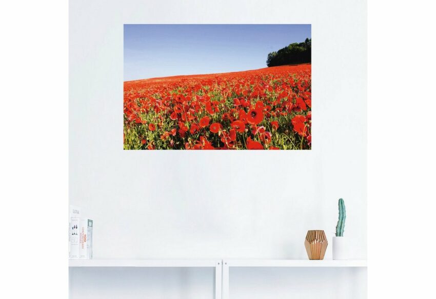 Artland Wandbild »Mohnfeld«, Wiesen & Baumbilder (1 Stück), in vielen Größen & Produktarten - Alubild / Outdoorbild für den Außenbereich, Leinwandbild, Poster, Wandaufkleber / Wandtattoo auch für Badezimmer geeignet-Bilder-Ideen für dein Zuhause von Home Trends