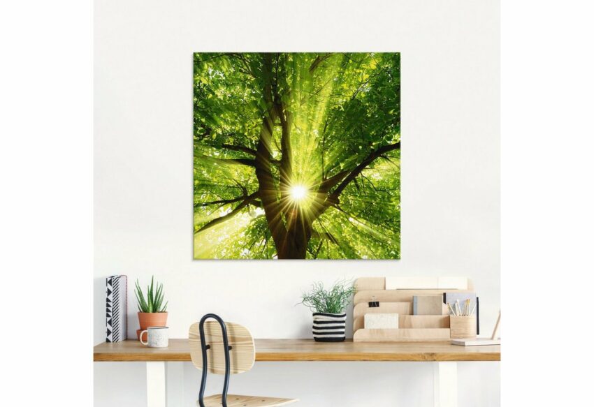 Artland Glasbild »Sonne strahlt explosiv durch den Baum«, Bäume (1 Stück)-Bilder-Ideen für dein Zuhause von Home Trends