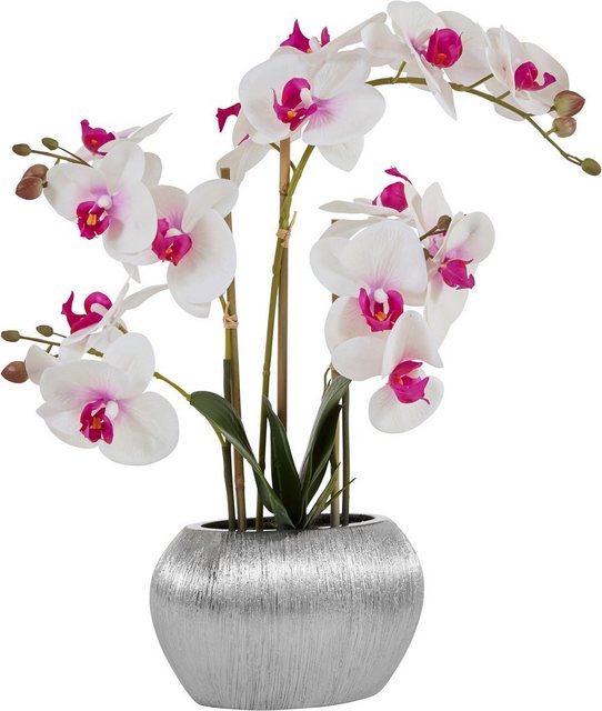 Kunstpflanze »Orchidee«, Home affaire, Höhe 55 cm, Kunstorchidee, im Topf-Kunstpflanzen-Inspirationen