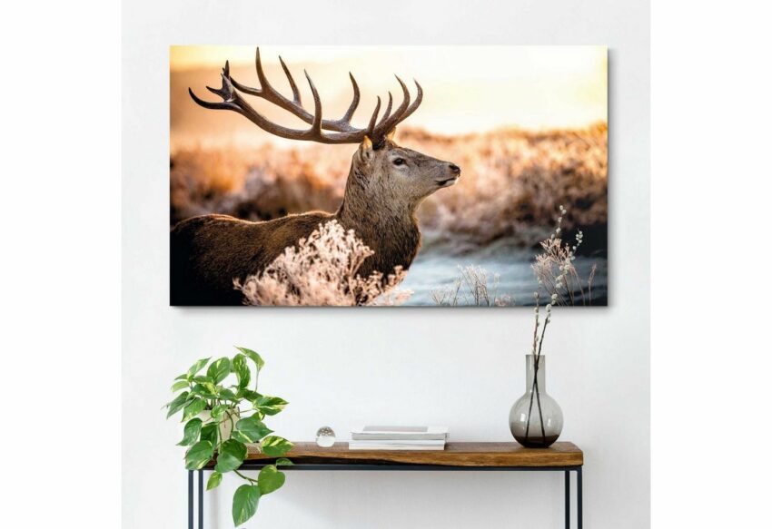 Reinders! Deco-Panel »Hirsch im Wald«, 118/70 cm-Bilder-Ideen für dein Zuhause von Home Trends