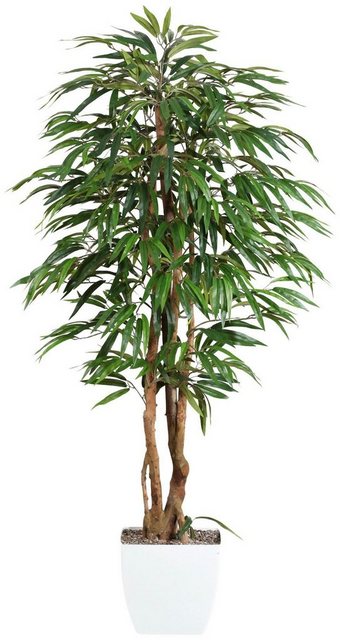 Kunstpflanze »Weeping-Ficus« Ficus, Creativ green, Höhe 150 cm-Kunstpflanzen-Inspirationen