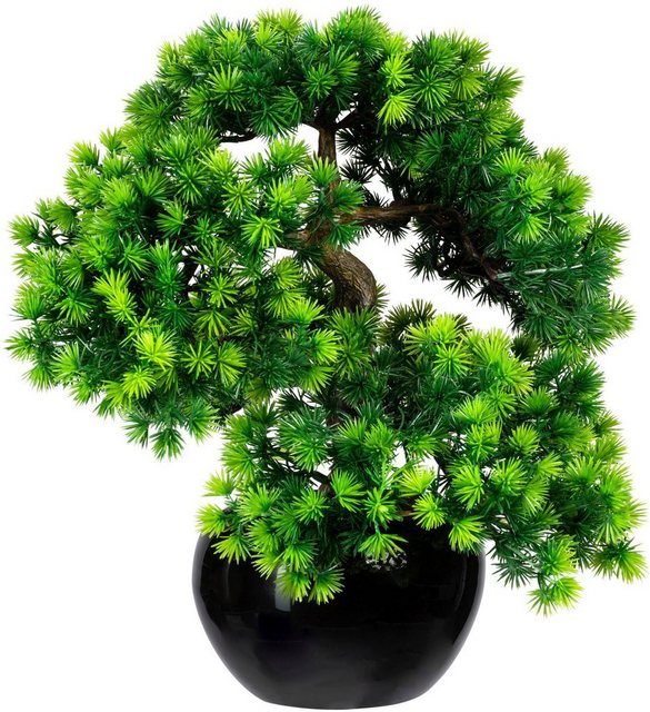 Kunstbonsai »Bonsai Lärche« Bonsai Lärche, Creativ green, Höhe 37 cm, im Keramiktopf-Kunstpflanzen-Inspirationen