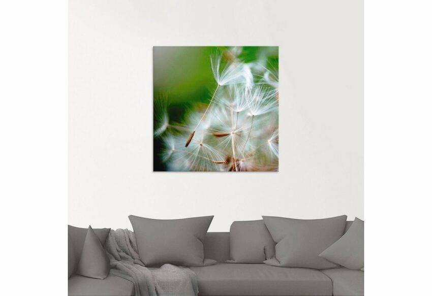 Artland Glasbild »Pusteblume kuschelweich«, Blumen (1 Stück)-Bilder-Ideen für dein Zuhause von Home Trends