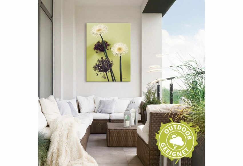 Artland Wandbild »Zwei vor grün - Gerberas«, Blumenbilder (1 Stück), in vielen Größen & Produktarten - Alubild / Outdoorbild für den Außenbereich, Leinwandbild, Poster, Wandaufkleber / Wandtattoo auch für Badezimmer geeignet-Bilder-Ideen für dein Zuhause von Home Trends