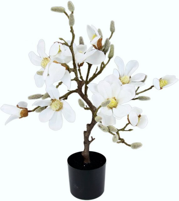 Kunstbaum »Magnolienbaum«, I.GE.A., Höhe 58 cm, im Kunststofftopf-Kunstpflanzen-Inspirationen
