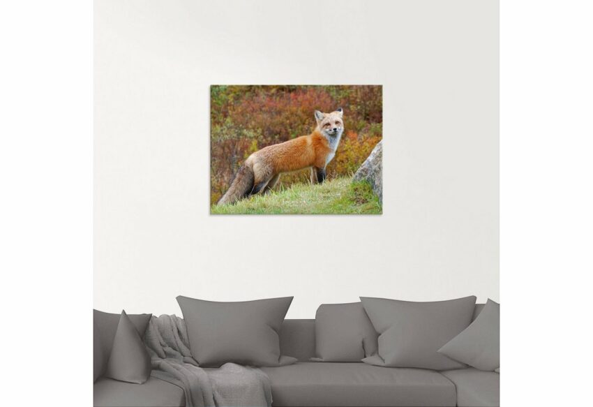 Artland Glasbild »Fuchs I«, Wildtiere (1 Stück)-Bilder-Ideen für dein Zuhause von Home Trends