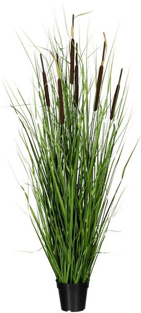 Kunstgras »Grasbusch mit Schilfkolben« Gras, Creativ green, Höhe 150 cm-Kunstpflanzen-Inspirationen
