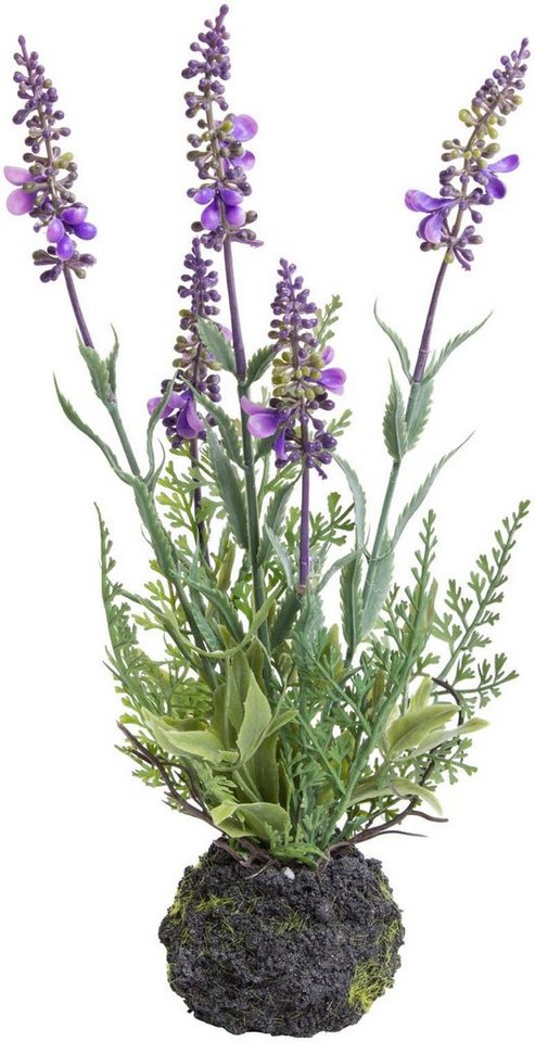 Künstliche Zimmerpflanze »Lavendel« Lavendel, Botanic-Haus, Höhe 30 cm-Kunstpflanzen-Ideen für dein Zuhause von Home Trends