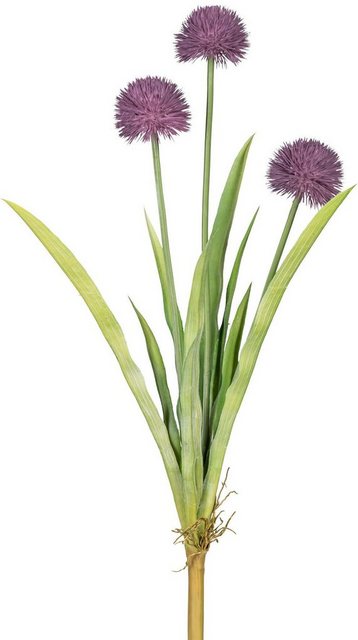 Kunstblume »Vivian« Allium, my home, Höhe 60 cm, 2er Set-Kunstpflanzen-Inspirationen