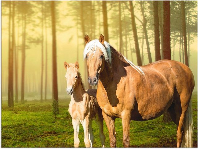 Artland Wandbild »Pferde in den Feldern II«, Haustiere (1 Stück), in vielen Größen & Produktarten - Alubild / Outdoorbild für den Außenbereich, Leinwandbild, Poster, Wandaufkleber / Wandtattoo auch für Badezimmer geeignet-Bilder-Inspirationen