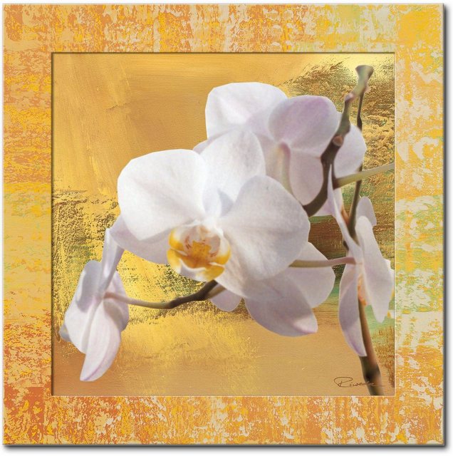 Artland Wandbild »Weiße Orchidee I«, Blumen (1 Stück)-Bilder-Inspirationen