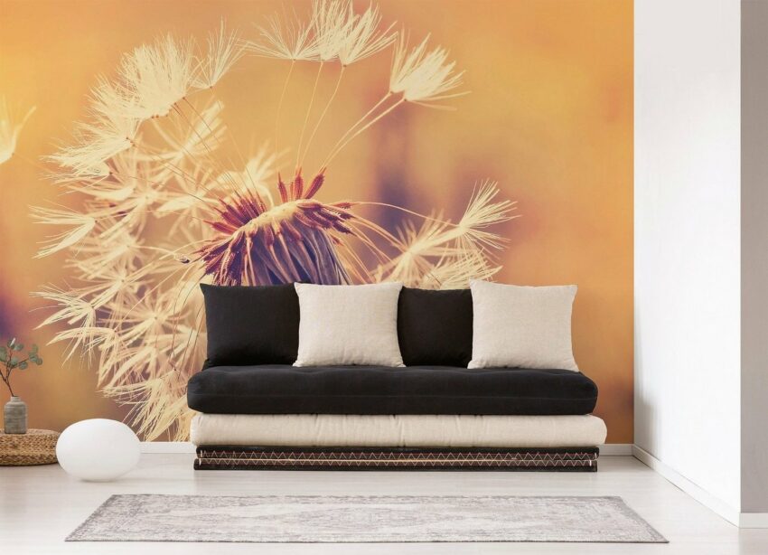 living walls Fototapete »Designwalls Dandelion 1«, glatt, (5 St)-Tapeten-Ideen für dein Zuhause von Home Trends