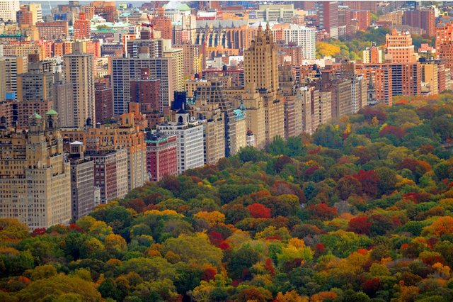 Papermoon Fototapete »Central Park«, glatt-Tapeten-Inspirationen