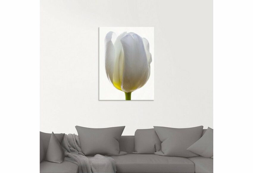 Artland Glasbild »Weiße Tulpe«, Blumen (1 Stück)-Bilder-Ideen für dein Zuhause von Home Trends