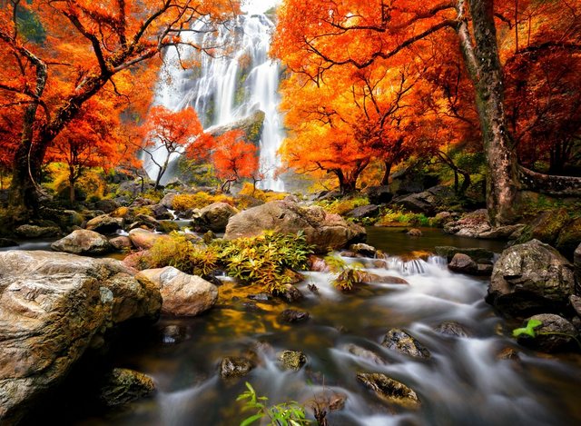 Papermoon Fototapete »Autumn Waterfall«, glatt-Tapeten-Inspirationen