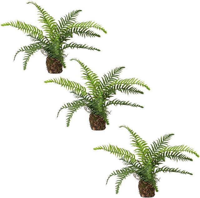 Kunstpflanze »Farn mit Ballen«, Creativ green, Höhe 37 cm, im 3er Set-Kunstpflanzen-Inspirationen