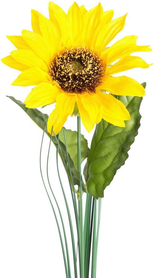 Kunstblume »Sonnenblume« Sonnenblume, Botanic-Haus, Höhe 65 cm-Kunstpflanzen-Ideen für dein Zuhause von Home Trends