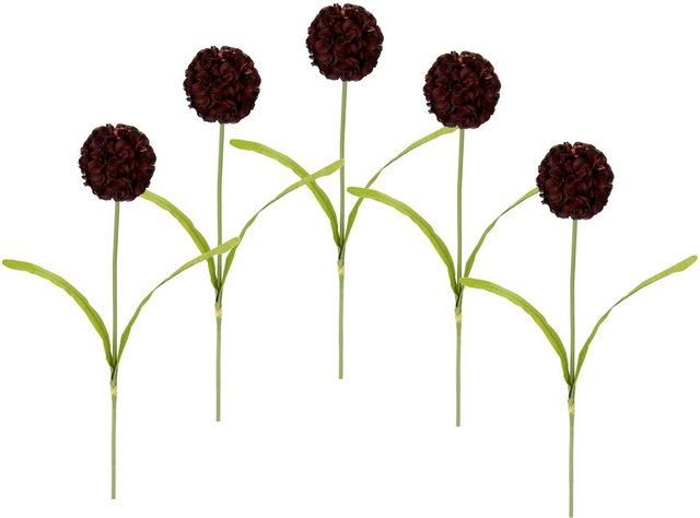 Kunstblume »Allium«, I.GE.A., Höhe 67 cm, 5er Set-Kunstpflanzen-Inspirationen