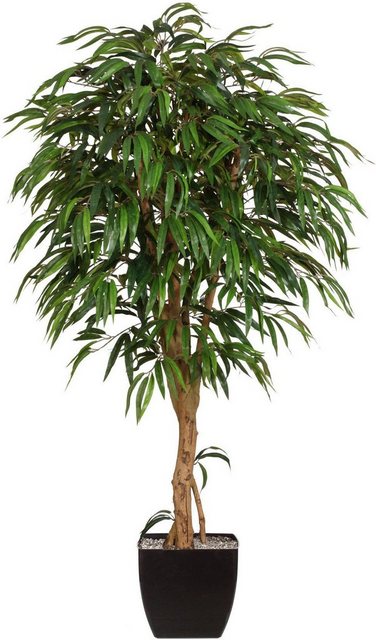 Kunstpflanze »Weeping-Ficus«, Creativ green, Höhe 180 cm-Kunstpflanzen-Inspirationen