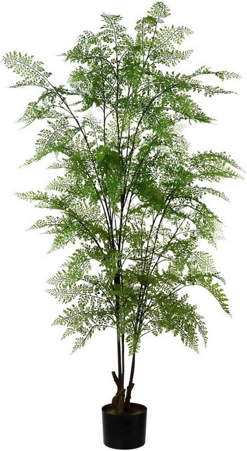 Kunstpflanze »Adianthum«, Creativ green, Höhe 127 cm, im Kunststofftopf-Kunstpflanzen-Inspirationen