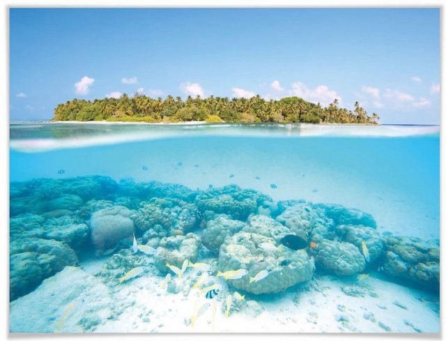 Wall-Art Poster »Unterwasserwelt Malediven«, Meer (1 Stück), Poster, Wandbild, Bild, Wandposter-Bilder-Inspirationen
