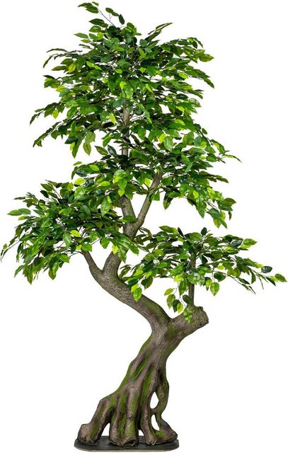 Kunstbaum »Ficus Benjamini« Ficus, Creativ green, Höhe 170 cm-Kunstpflanzen-Inspirationen
