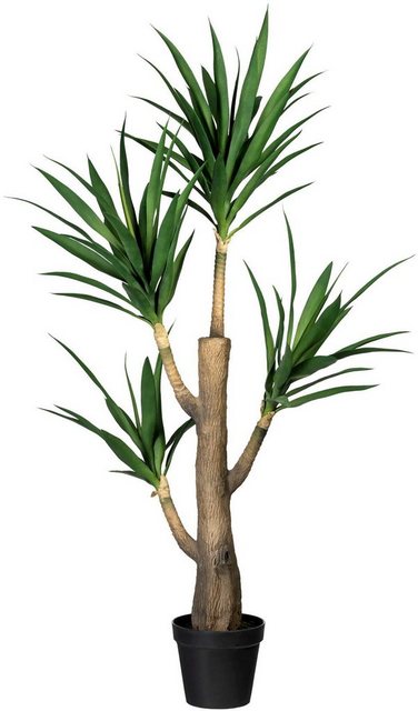 Künstliche Zimmerpflanze »Dracaena fragans« Dracaena fragans, Creativ green, Höhe 160 cm, im Zementtopf-Kunstpflanzen-Inspirationen