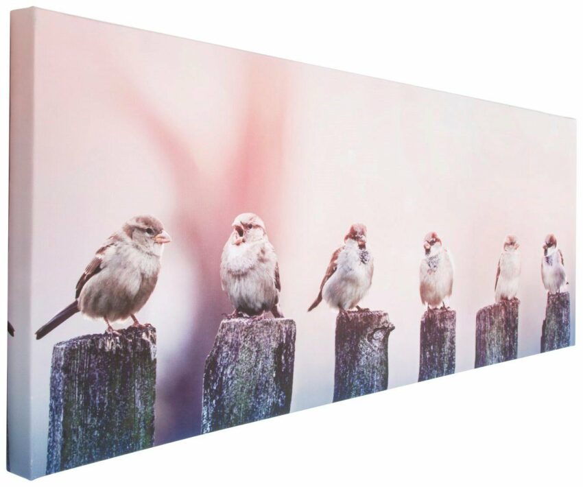 Art for the home Leinwandbild »Morgengezwitscher«, Vögel-Bilder-Ideen für dein Zuhause von Home Trends