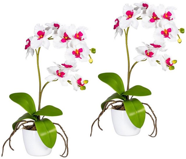 Kunstpflanze »Orchidee Phalaenopsis« Orchidee, Creativ green, Höhe 60 cm, im Keramiktopf-Kunstpflanzen-Inspirationen