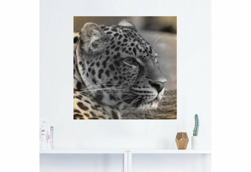 Artland Wandbild »Leopard Profil«, Wildtiere (1 Stück), in vielen Größen & Produktarten - Alubild / Outdoorbild für den Außenbereich, Leinwandbild, Poster, Wandaufkleber / Wandtattoo auch für Badezimmer geeignet-Bilder-Ideen für dein Zuhause von Home Trends
