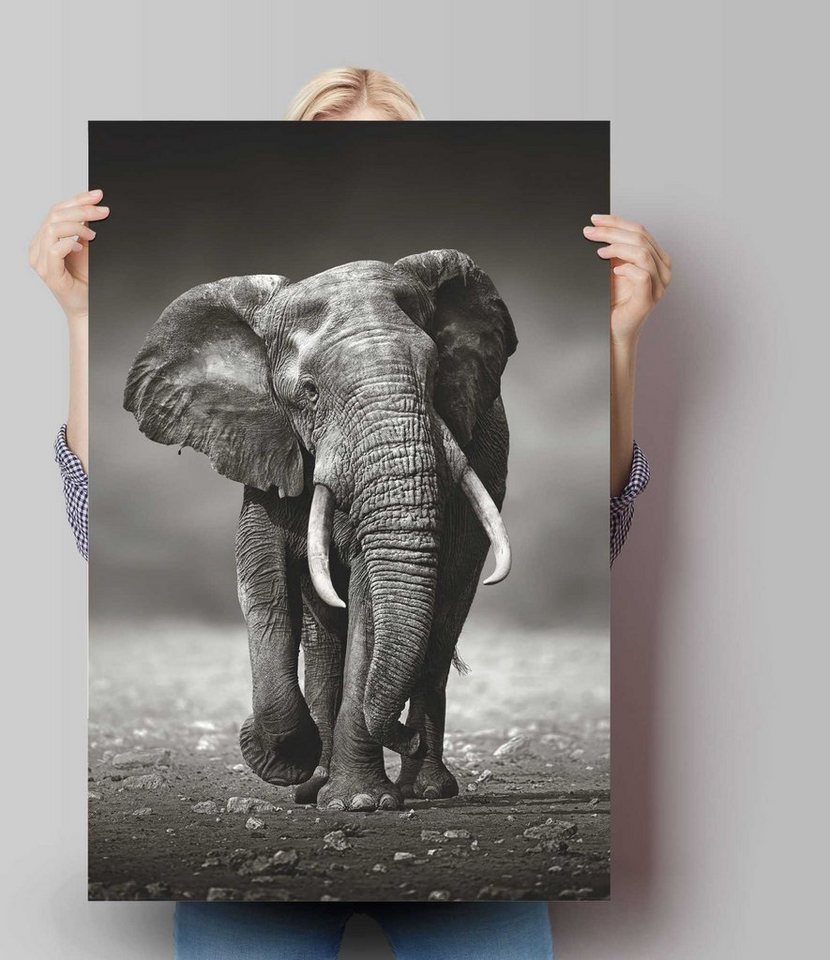 Reinders! Poster »Poster Elefant Wanderung«, Elefanten (1 Stück)-Bilder-Ideen für dein Zuhause von Home Trends