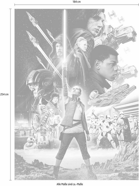 Komar Fototapete »Star Wars – Balance«, glatt, bedruckt, Comic, (Set), ausgezeichnet lichtbeständig-Tapeten-Inspirationen