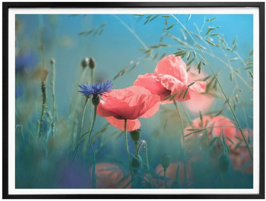 Wall-Art Poster »Wildblumen Aquamarin«, Blumen (1 Stück)-Bilder-Ideen für dein Zuhause von Home Trends