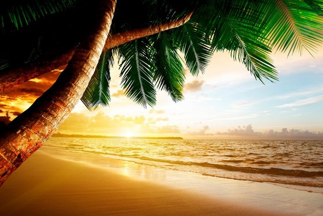 Papermoon Fototapete »Caribbean Beach Sunrise«, glatt-Tapeten-Inspirationen