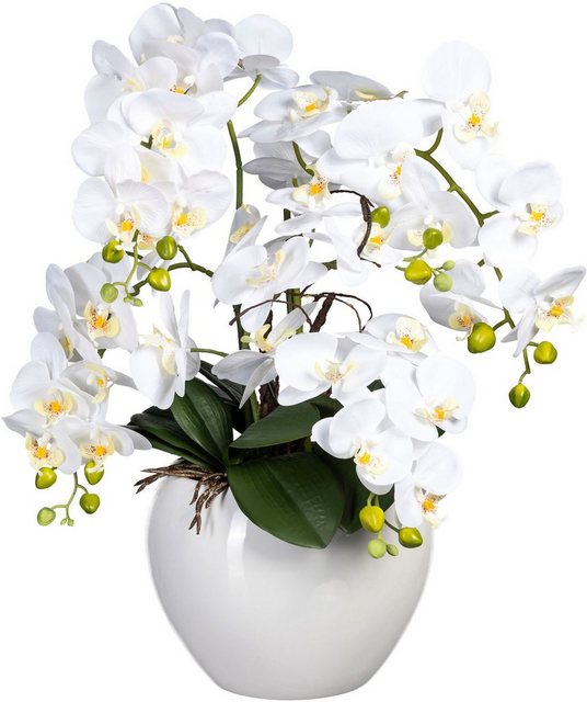 Kunstorchidee »Phalaenopsis« Orchidee Phalaenopsis, Creativ green, Höhe 56 cm, im Keramiktopf-Kunstpflanzen-Inspirationen