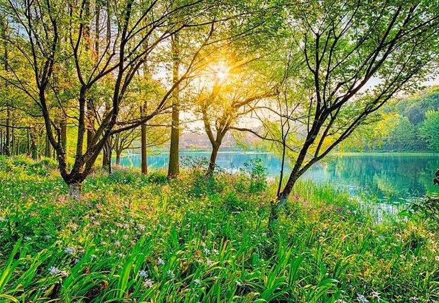 Komar Fototapete »Spring Lake«, glatt, bedruckt, Wald, Meer, (Set), ausgezeichnet lichtbeständig-Tapeten-Inspirationen