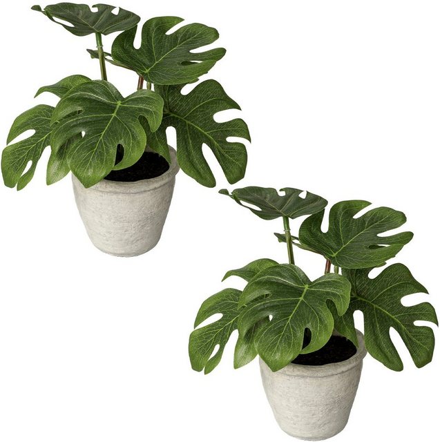 Künstliche Zimmerpflanze »Blattpflanze Splitphilodendron«, Creativ green, Höhe 20 cm, im Paperpot-Kunstpflanzen-Inspirationen