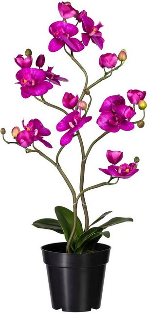 Kunstorchidee »Phalaenopsis« Orchidee Phalaenopsis, Creativ green, Höhe 75 cm-Kunstpflanzen-Inspirationen