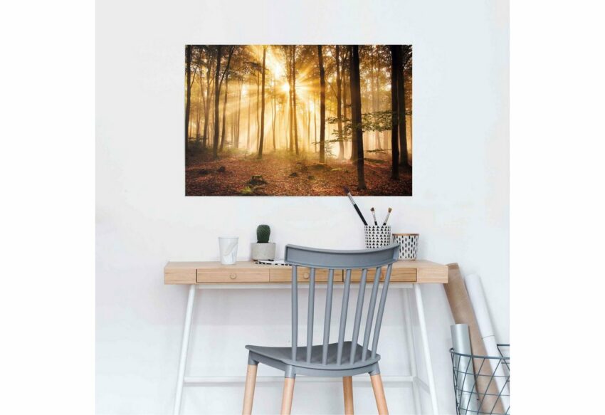 Reinders! Poster »Erleuchteter Wald«, (1 Stück)-Bilder-Ideen für dein Zuhause von Home Trends