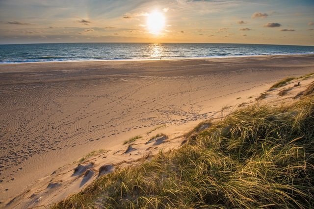 Papermoon Fototapete »Dunes Beach Jutland«, glatt-Tapeten-Inspirationen