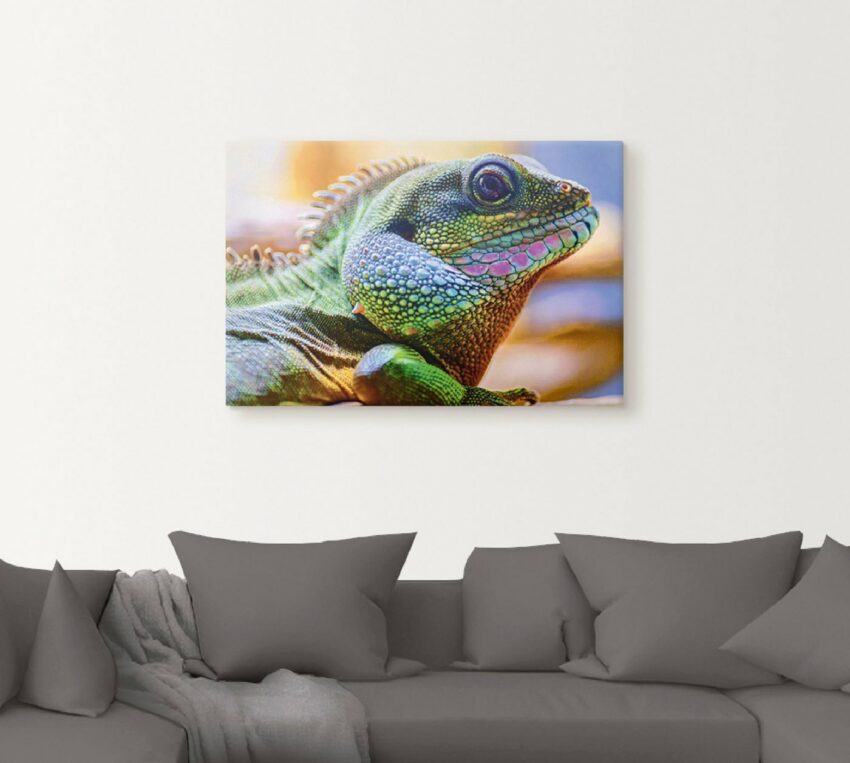 Artland Wandbild »Farbiger Kopf eines Leguan«, Reptilien (1 Stück), in vielen Größen & Produktarten - Alubild / Outdoorbild für den Außenbereich, Leinwandbild, Poster, Wandaufkleber / Wandtattoo auch für Badezimmer geeignet-Bilder-Ideen für dein Zuhause von Home Trends