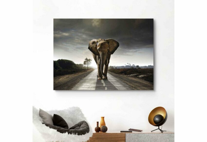 Reinders! Wandbild »Elefantenkönig Tiermotiv - Elefant - Natur«, (1 Stück)-Bilder-Ideen für dein Zuhause von Home Trends