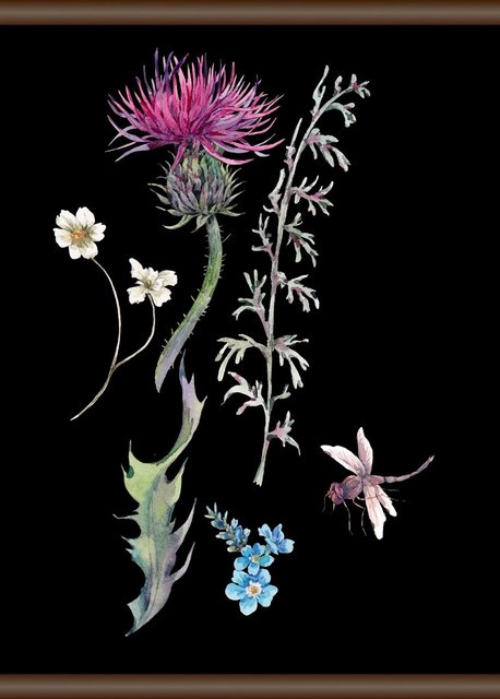 queence Leinwandbild »Pflanzen und Libellen«, 50x70 cm-Bilder-Inspirationen