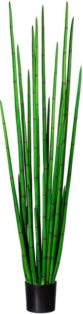 Künstliche Zimmerpflanze »Sanseveria cylindrica« Sanseveria cylindrica, Creativ green, Höhe 185 cm-Kunstpflanzen-Inspirationen