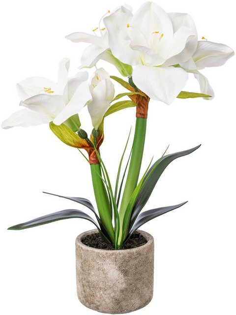 Künstliche Zimmerpflanze Amaryllis, Creativ deco, Höhe 42 cm-Kunstpflanzen-Inspirationen