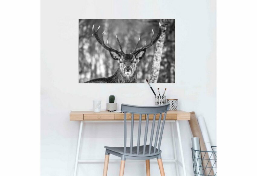 Reinders! Poster »Hirsch im Winter«, (1 Stück)-Bilder-Ideen für dein Zuhause von Home Trends