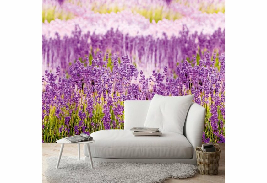 Bodenmeister Fototapete »Lavendel Provence lila«-Tapeten-Ideen für dein Zuhause von Home Trends