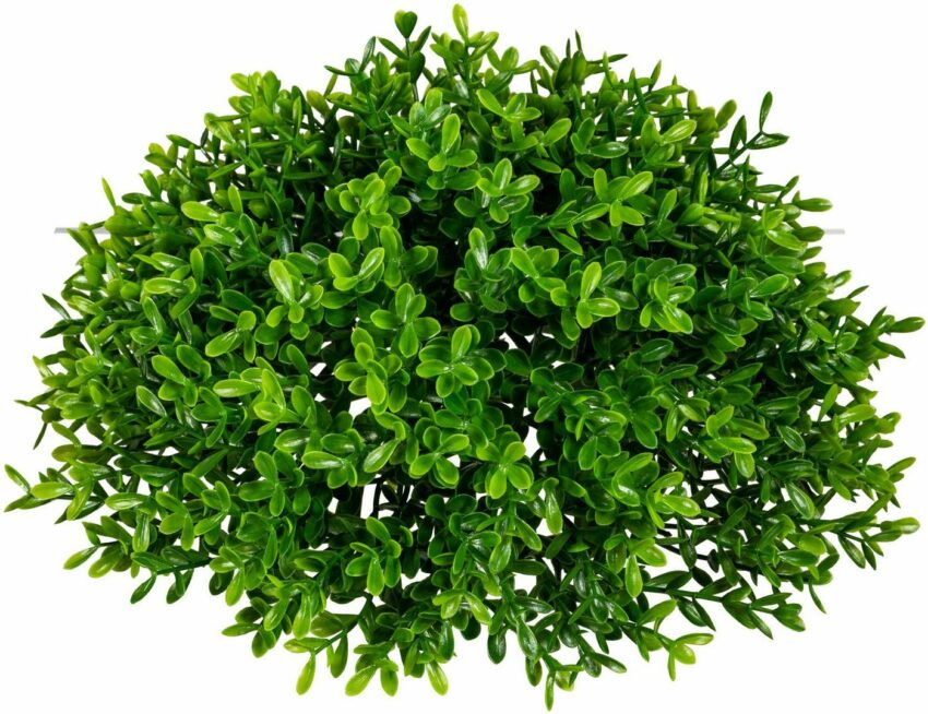 Kunstpflanze »Teeblatt-Halbkugel« Grünpflanze, Creativ green, Höhe 12 cm-Kunstpflanzen-Ideen für dein Zuhause von Home Trends