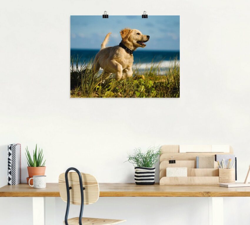 Artland Wandbild »Hundebaby springt am Strand«, Haustiere (1 Stück), in vielen Größen & Produktarten - Alubild / Outdoorbild für den Außenbereich, Leinwandbild, Poster, Wandaufkleber / Wandtattoo auch für Badezimmer geeignet-Bilder-Ideen für dein Zuhause von Home Trends
